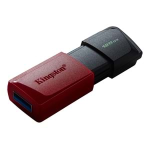 Kingston 128 GB DTXM/128GB DataTraveler Exodia USB 3.2 USB Bellek