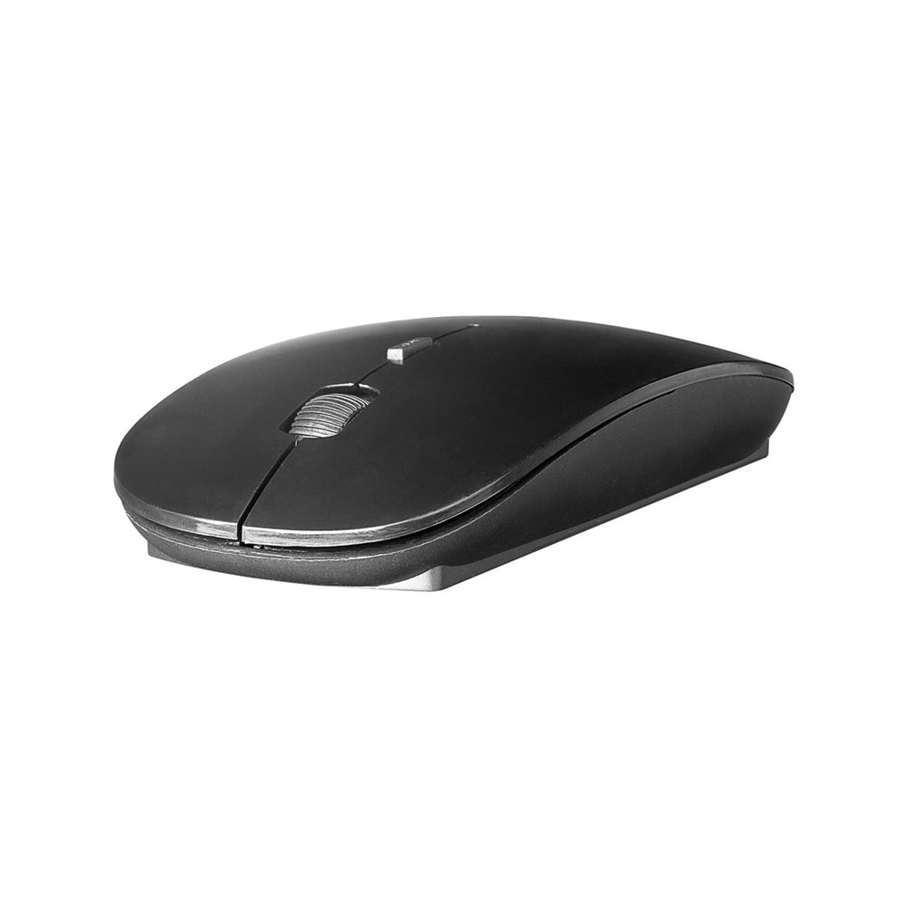 Everest Sm-781 Siyah Optik Nano Receive Kablosuz Mouse