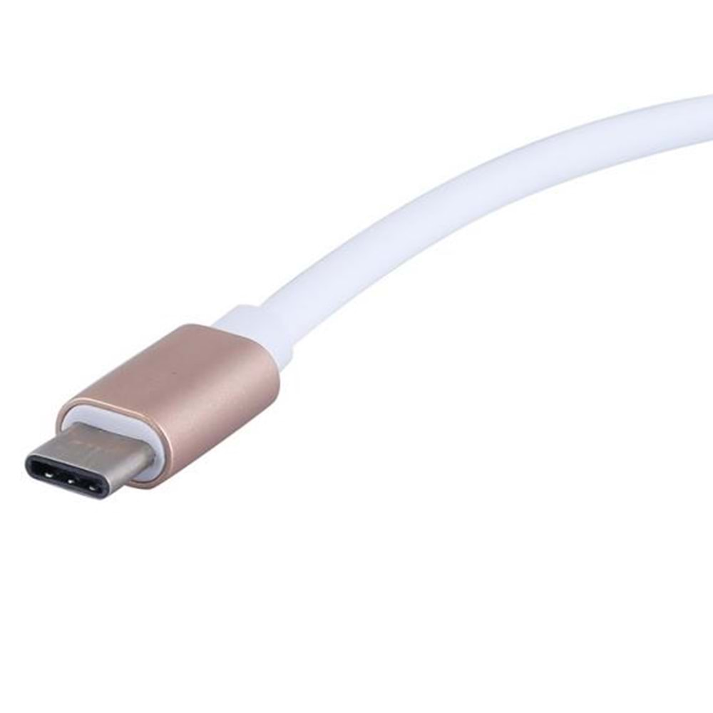 Usb 3.1 Type C To Displayport Çevirici Dönüştürücü Adaptör 4448