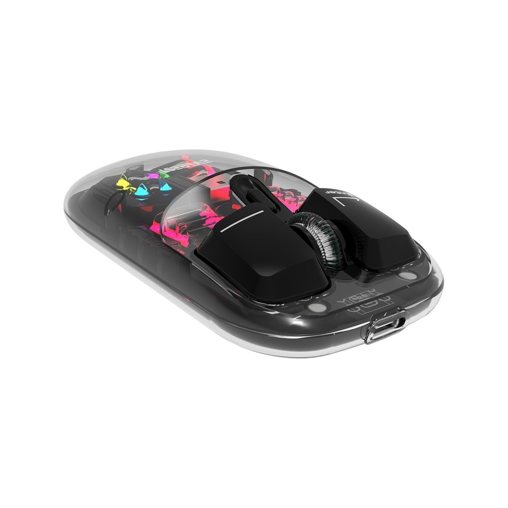 Everest SM-BT89 Opal Şarj Edilebilir Sessiz Siyah Transparan Rgb 2in1 2bt ve 2.4ghz Kablosuz Mouse