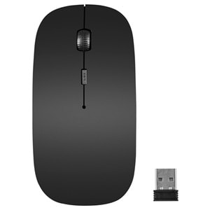 Everest Sm-781 Siyah Optik Nano Receive Kablosuz Mouse