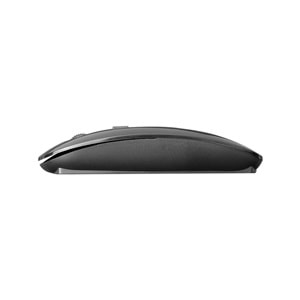 Everest Sm-781 Siyah Optik Nano Receive Kablosuz Mouse