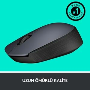 Logitech M170 USB Alıcılı Kablosuz Kompakt Mouse - Gri