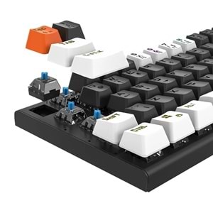 Everest Parley Beyaz/siyah Rainbow Aydınlatma Türkçe Q Blue Switch Elektronik Mekanik Gaming Oyuncu Klavyesi