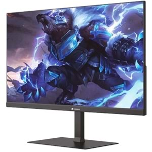 GAMEBOOSTER GB-2411FF 23.8