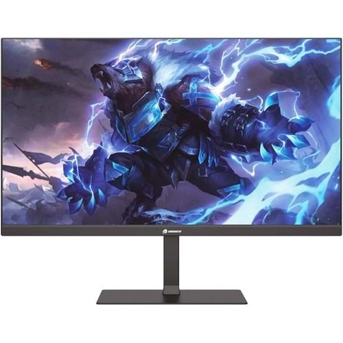 GAMEBOOSTER GB-2411FF 23.8