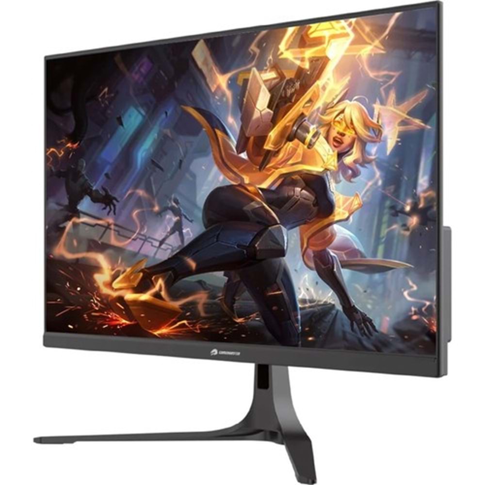Gamebooster GB-2516FF 24.5
