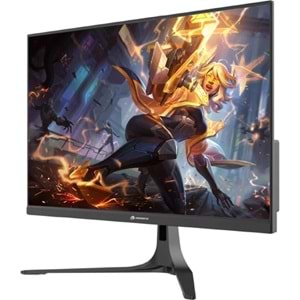 Gamebooster GB-2516FF 24.5