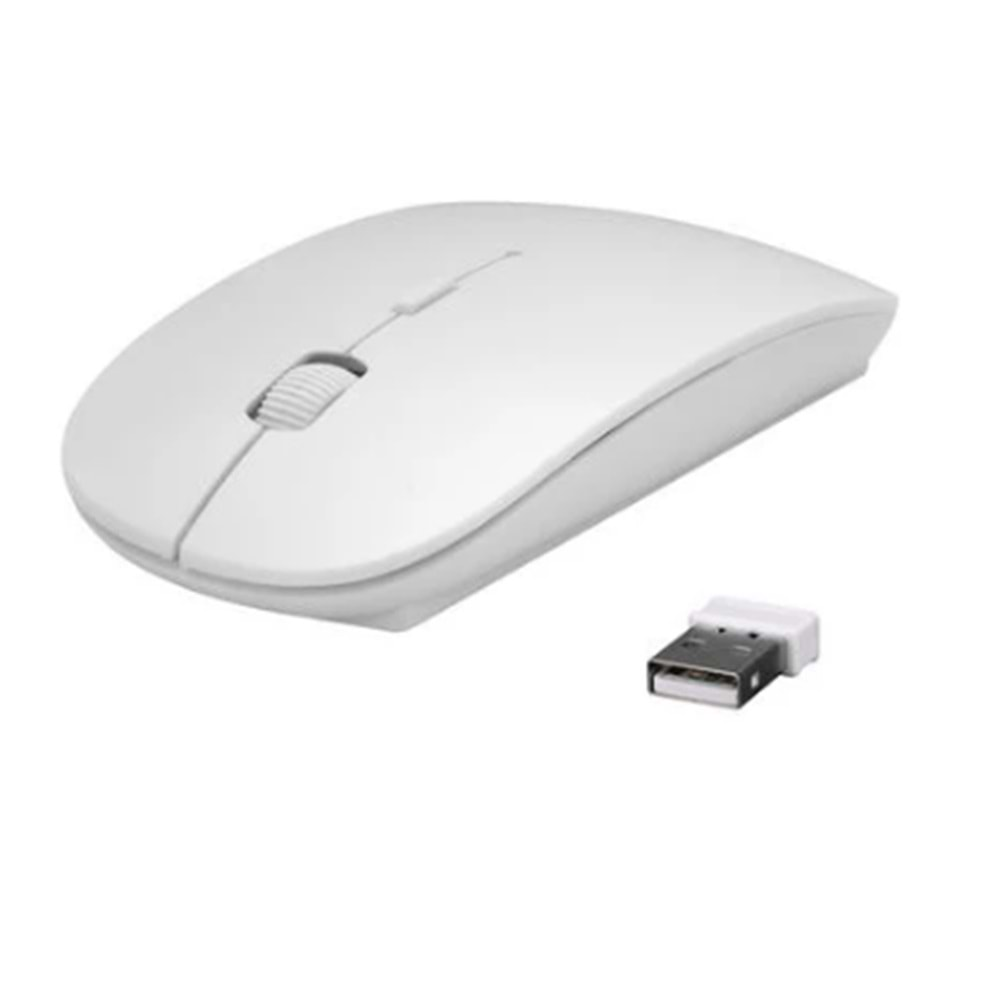 Everest SM-781 Beyaz Optik Nano Receive Kablosuz Mouse