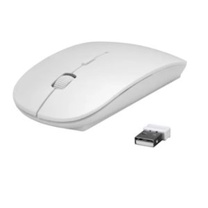 Everest SM-781 Beyaz Optik Nano Receive Kablosuz Mouse