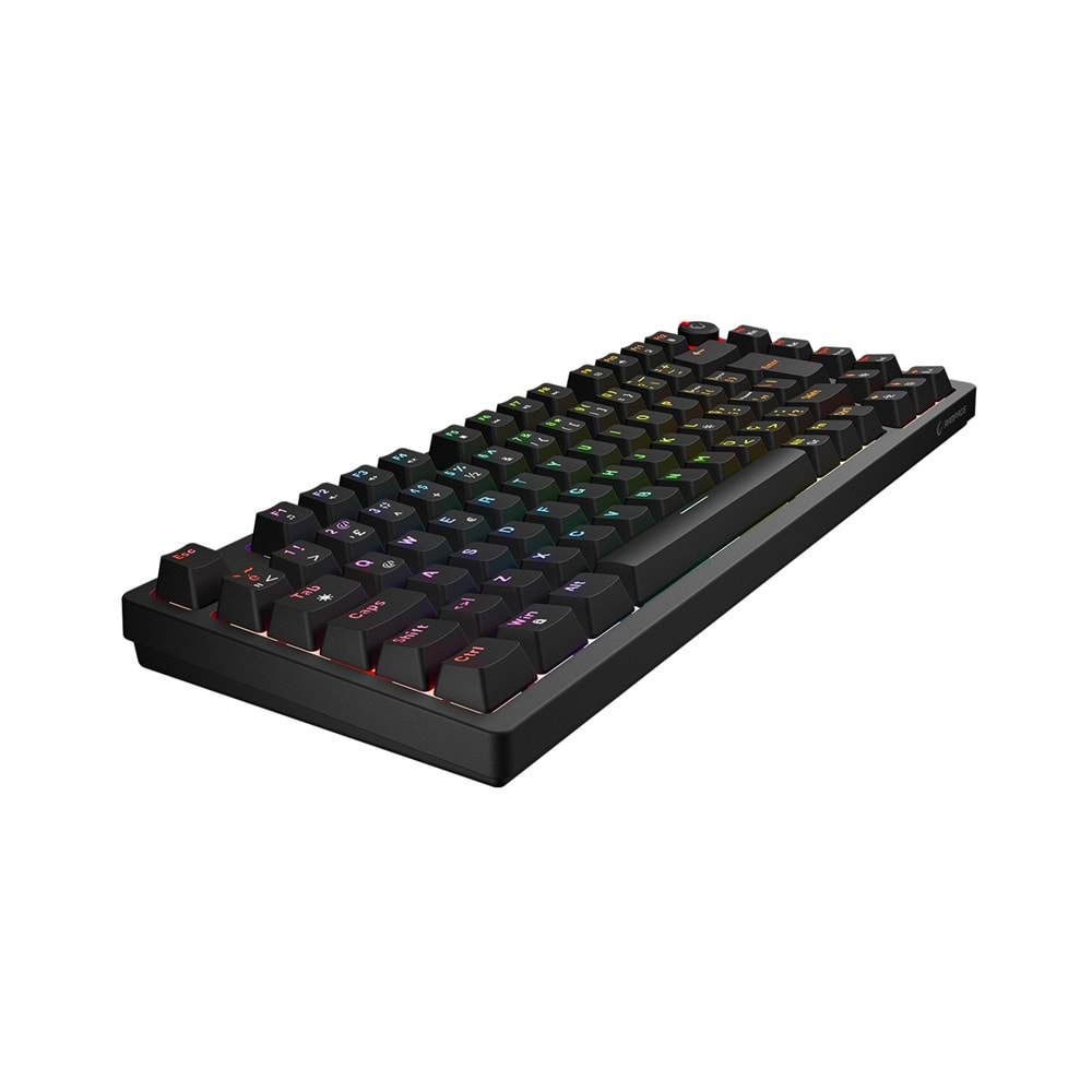 Rampage ENIGMA 75 Siyah Türkçe Q Red Switch Kompakt Mekanik Gaming (Oyuncu) Klavye