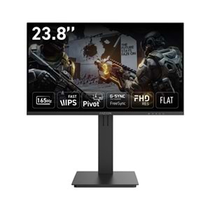 Fazeon X24F166P 24