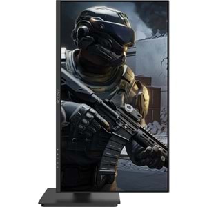 Fazeon X24F166P 24
