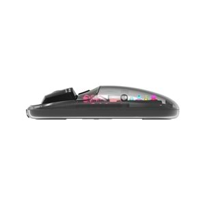 Everest SM-BT89 Opal Şarj Edilebilir Sessiz Siyah Transparan Rgb 2in1 2bt ve 2.4ghz Kablosuz Mouse